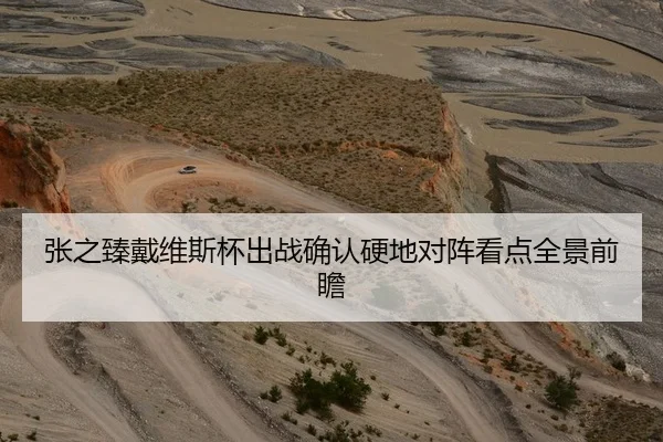 张之臻戴维斯杯出战确认硬地对阵看点全景前瞻